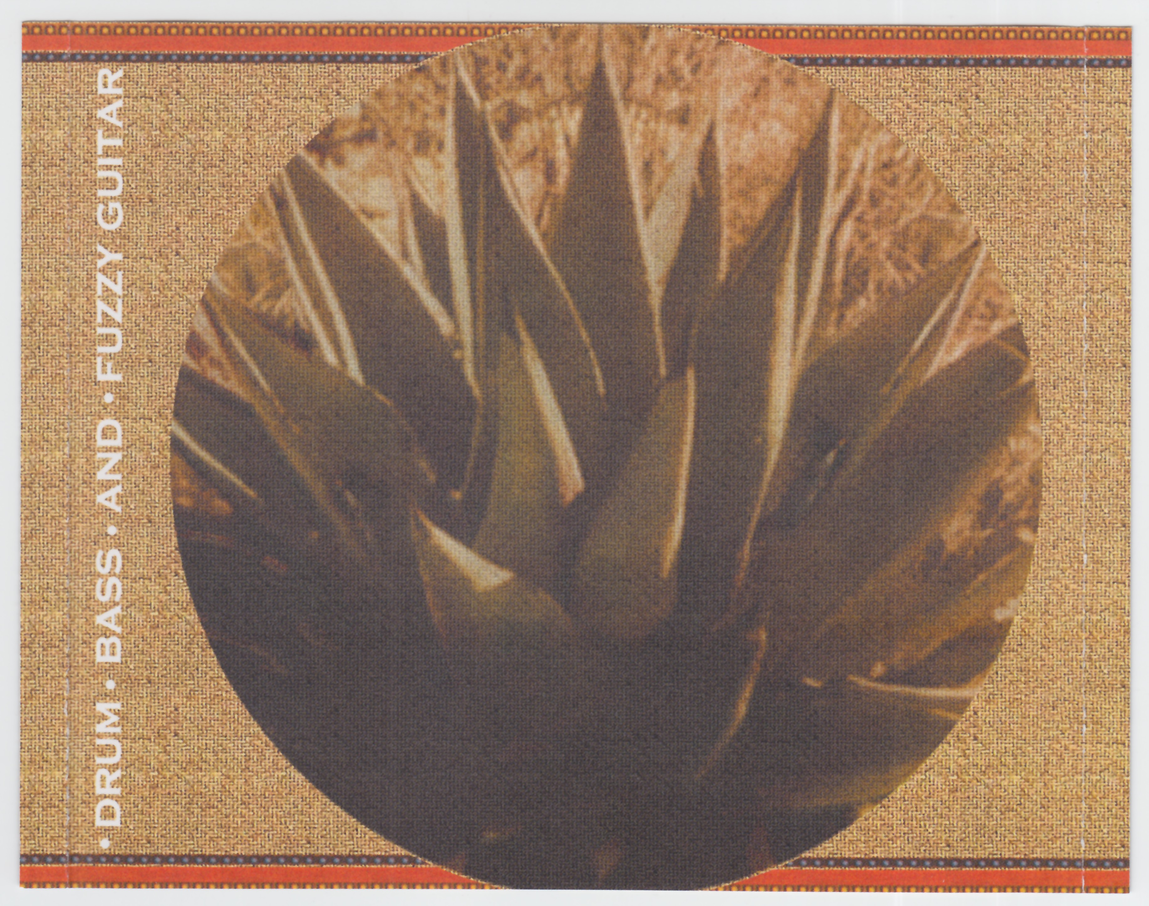 ZZ Top  XXX : Back + Inlay US